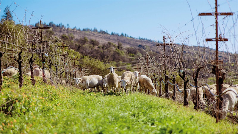 Alphabetical Guide to California Cabernet