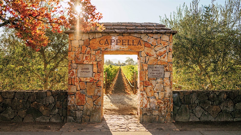 Napa Cabernet 2014: 10 Years After