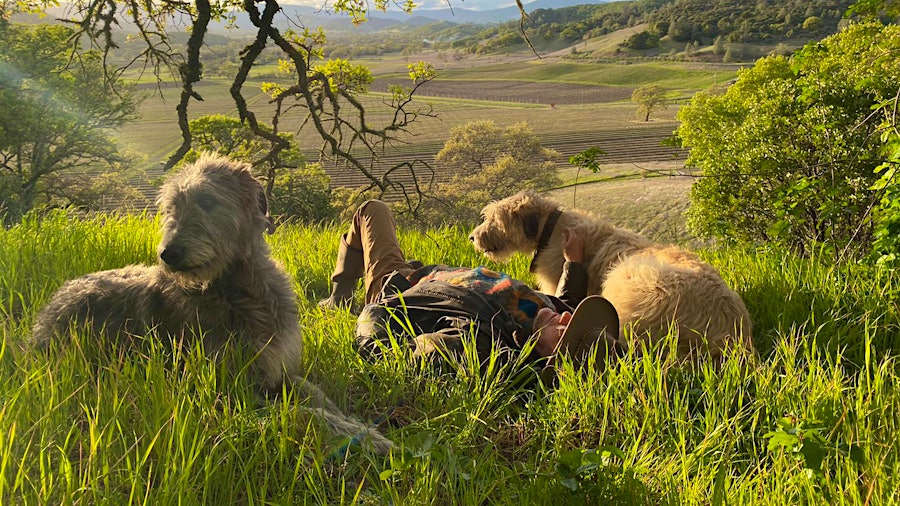 Finn (left) and Lir take a break with Xavier Cervantes, founder of Cervantes Family Vineyard in Napa County's Pope Valley.