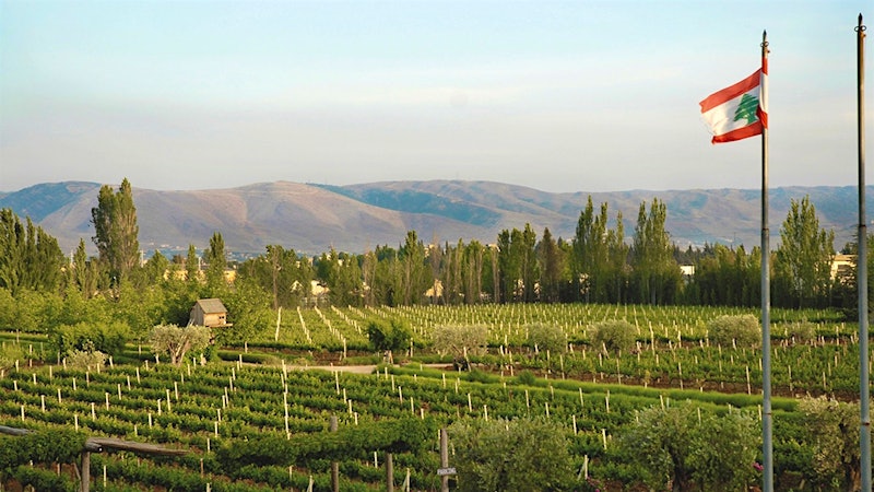 War in Middle East Affects Vintners