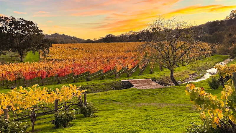 Subtle, Sanguine Cabernets at Napa's Arrow & Branch and Zeitgeist