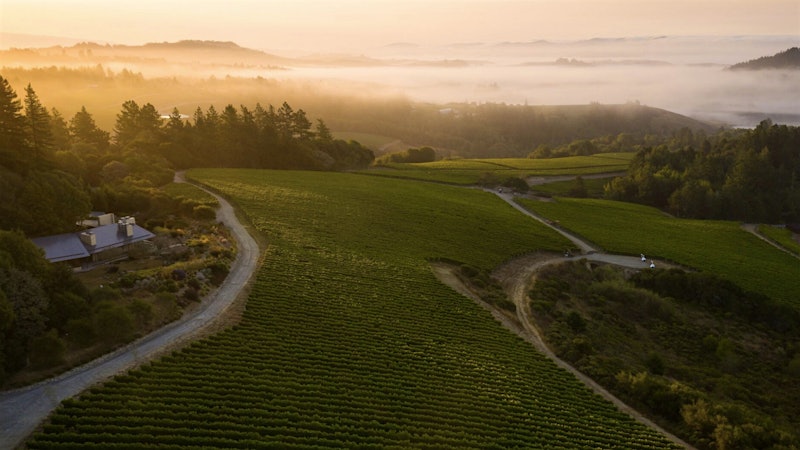 Steve Kistler Explores Pinot Noir’s Final Frontier at Occidental