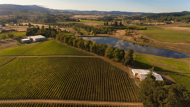 Oregon's Government Found Higher Taxes on Wine Didn't Deter Alcohol Abuse, Then Sat on Findings