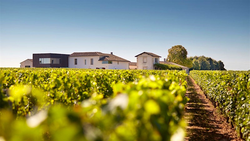 Big Changes in Little Pomerol at Petit-Village