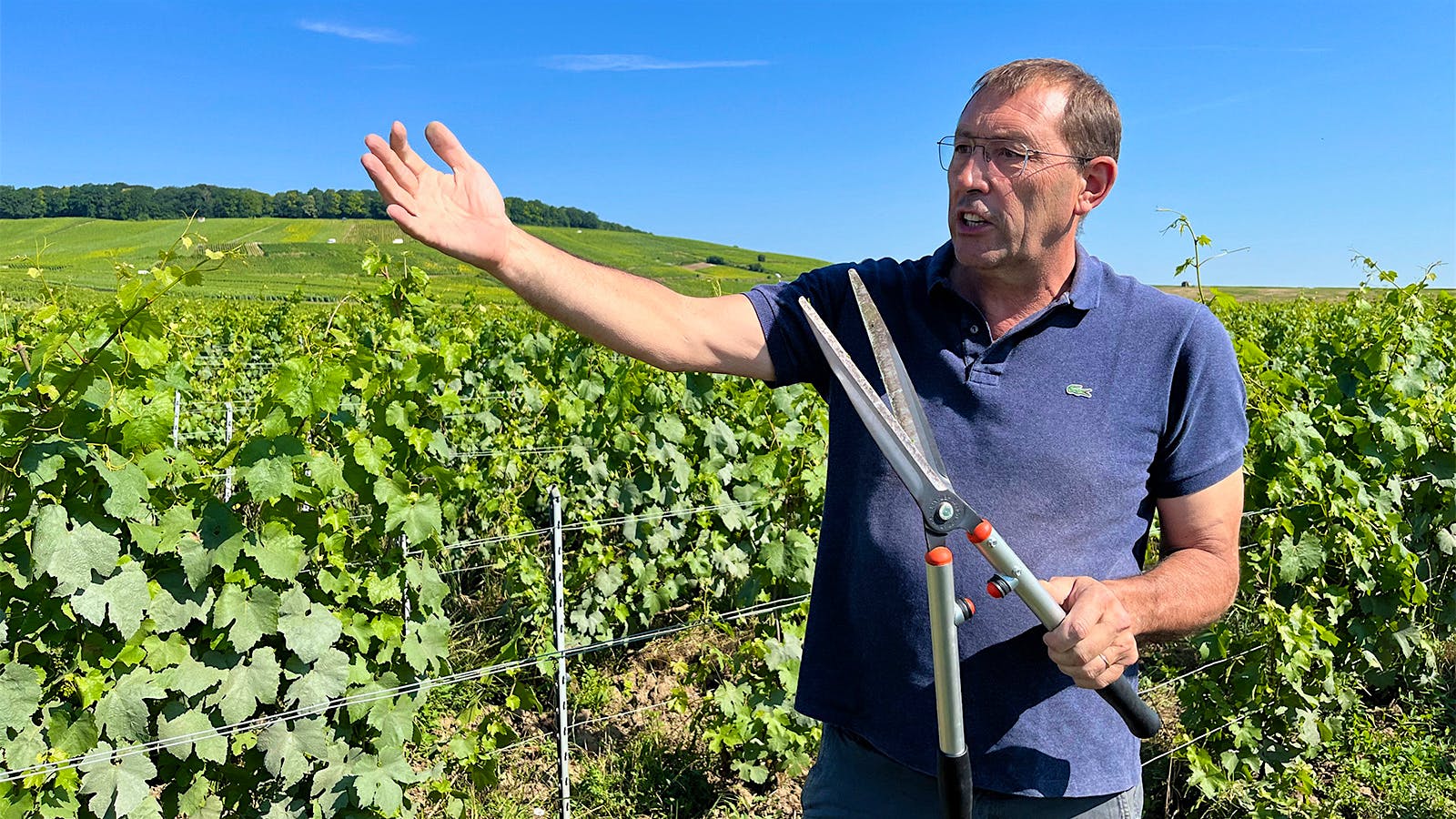 Pierre Larmandier of Champagne house Larmandier-Brunier standing in a vineyard talking and gesturing while holding a large pair of shears