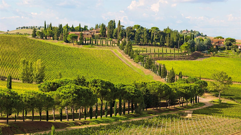 10 Amazing Tuscan Wine Values at $35 or Less