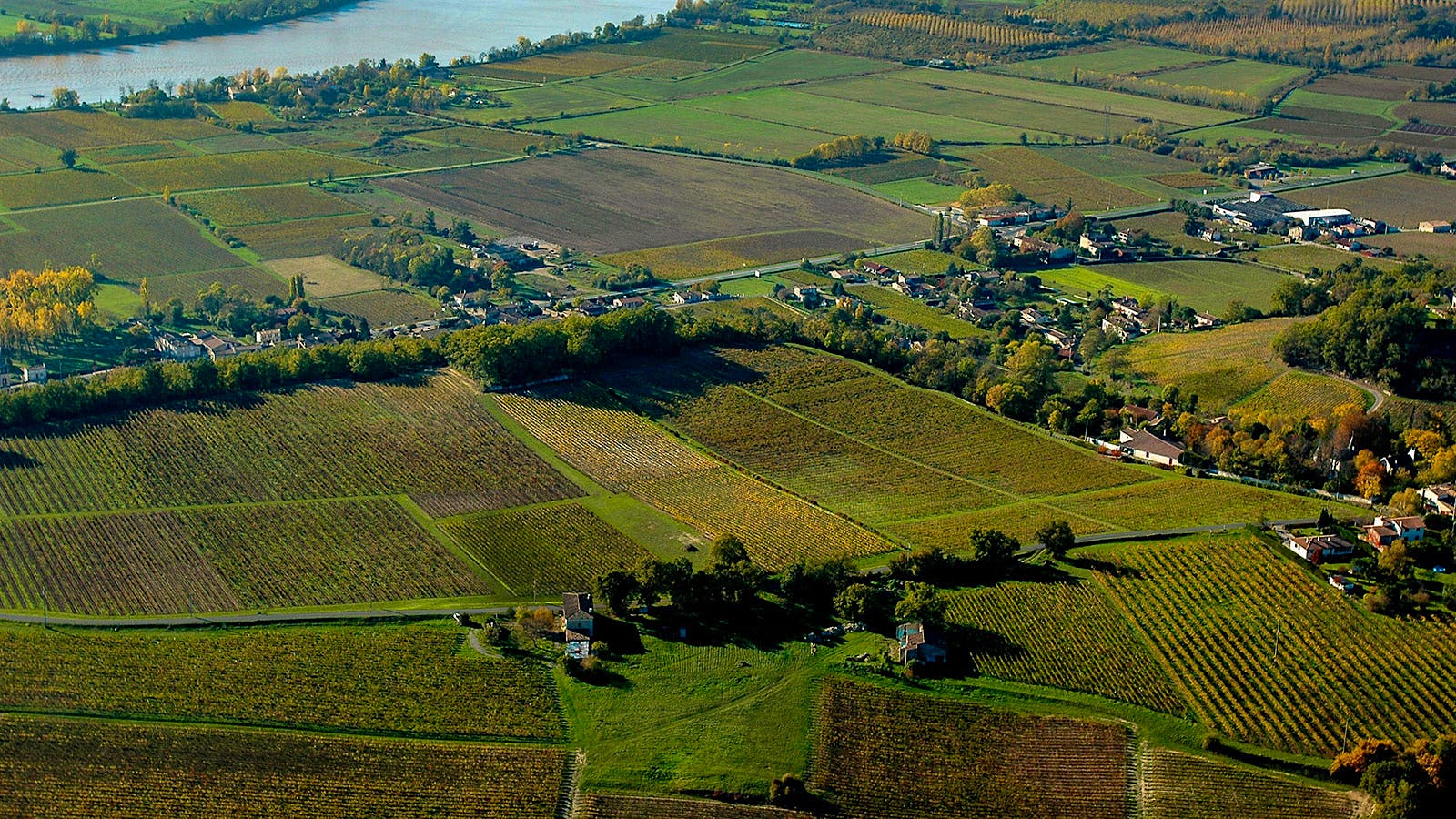 Vineyards around the village of Fronsac in Bordeaux, France