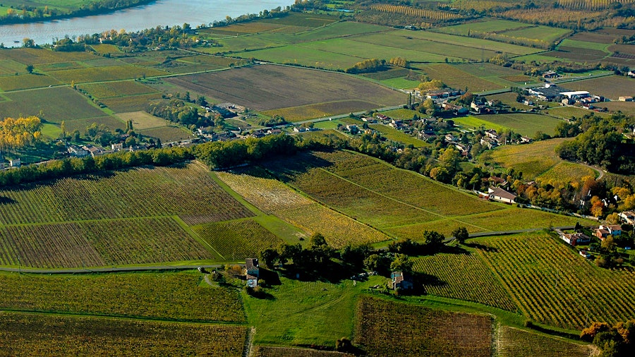 The commune of Fronsac is a source of delicious reds from Bordeaux's 2022 vintage.