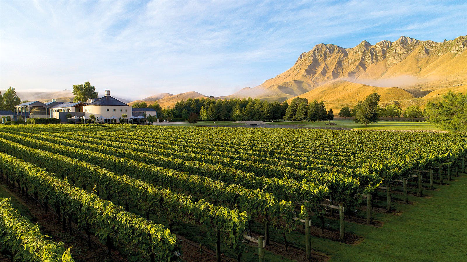 Craggy Range’s Te Muna estate vineyard in Martinborough, New Zealand